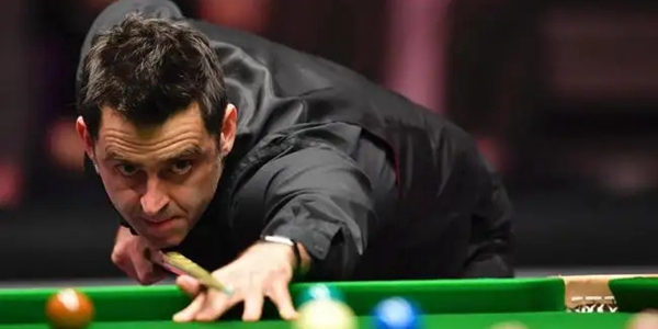 金海豚奖 金海豚奖