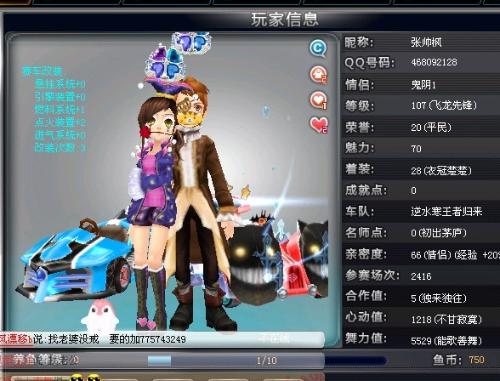 豚队 豚队